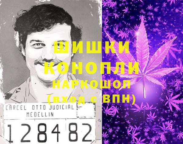 крисы Белоозёрский