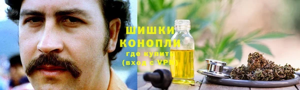 крисы Белоозёрский