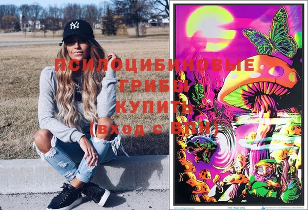 крисы Белоозёрский